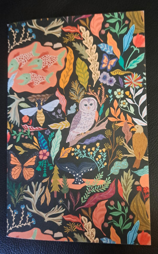 The first letter from Goodie, welcome