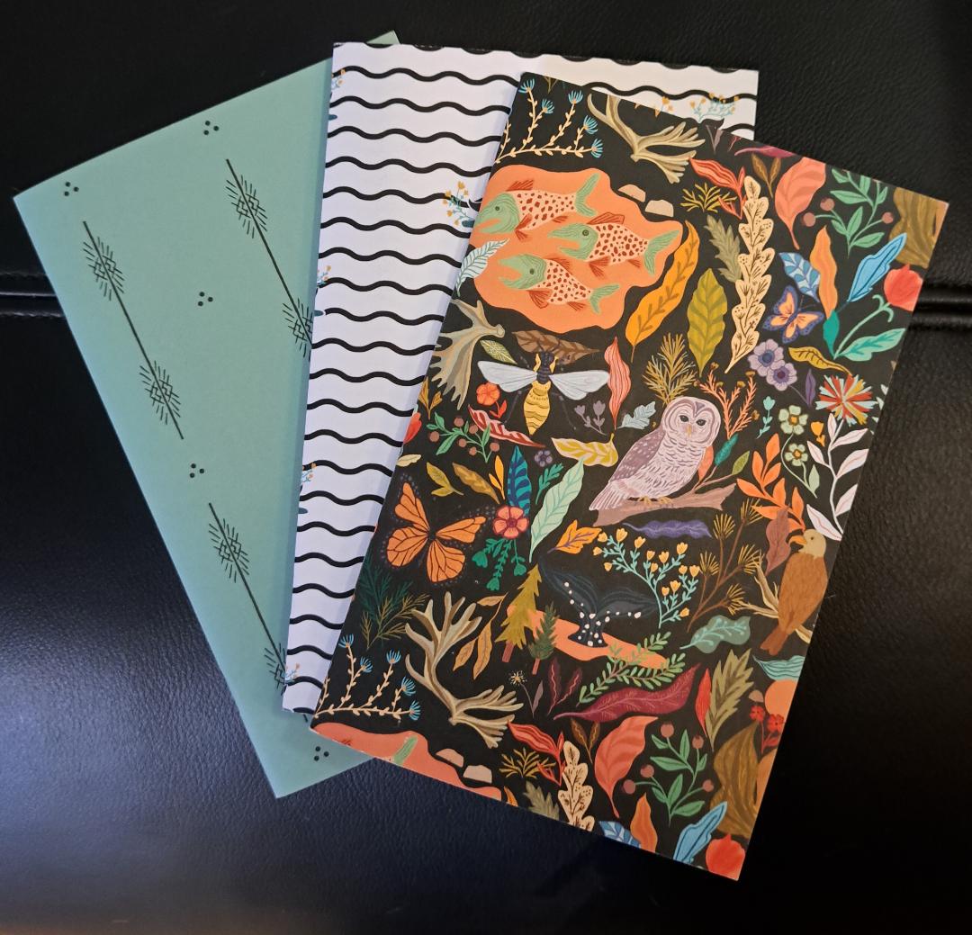 Notebook set of Three 4 1/2' X 6 1/2" coordinating books