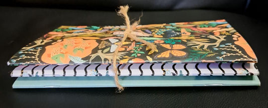 Notebook set of Three 4 1/2' X 6 1/2" coordinating books